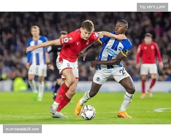 布莱顿迎战阿森纳 海鸥军团主场检验枪手防守